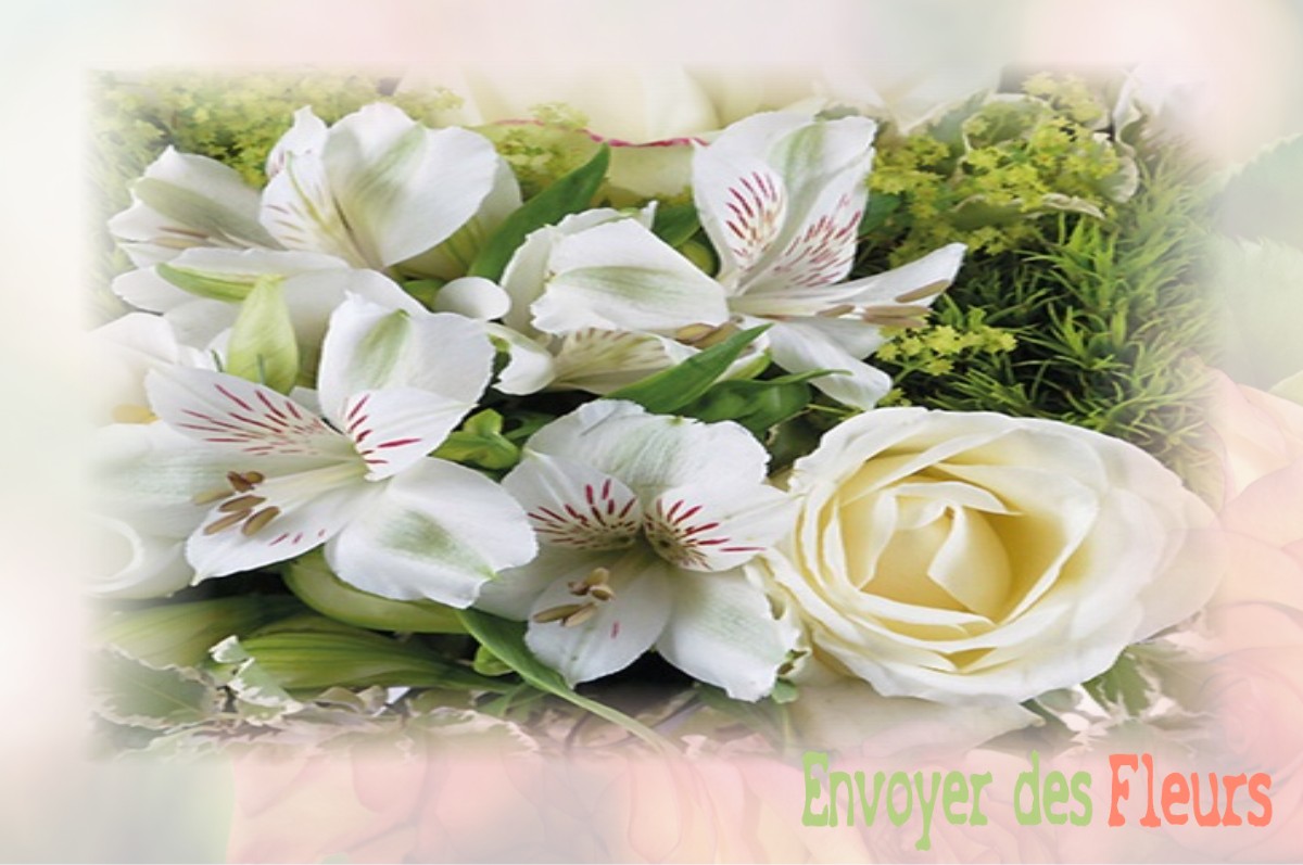 envoyer des fleurs à à SAINT-PIERRE-LA-VIEILLE